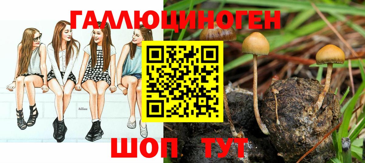 Мыски  Галлюциногенные грибы Psilocybe  Псилоцибиновые грибы Psilocybine cubensis  Вход с VPN 