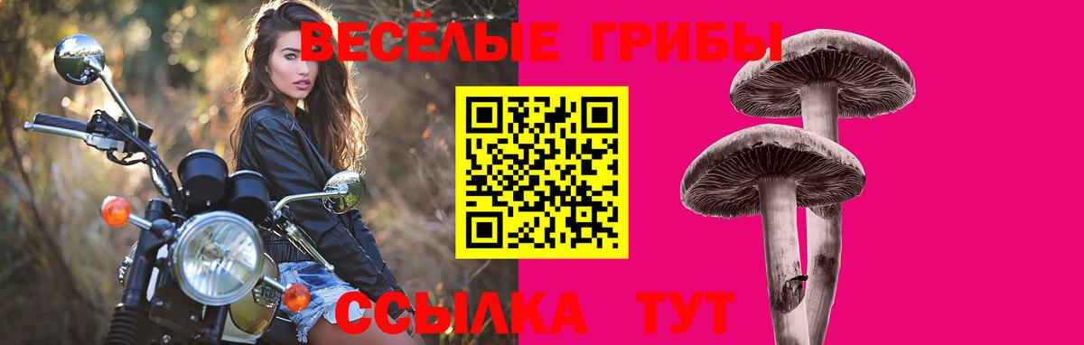 Галлюциногенные грибы MAGIC MUSHROOMS Мыски